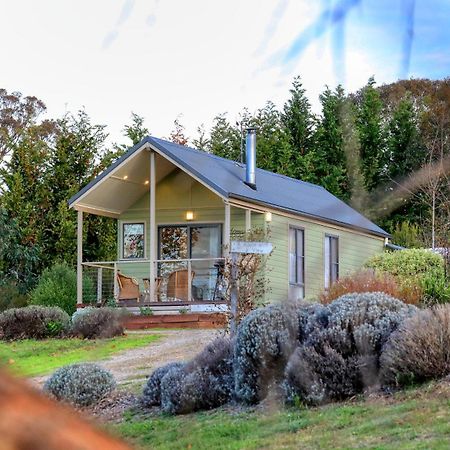 Grace Cottages Uralla Eksteriør bilde