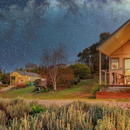 Grace Cottages Uralla Eksteriør bilde