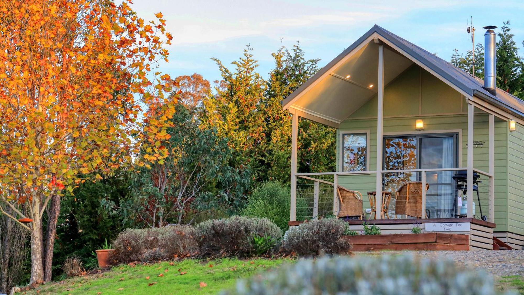 Grace Cottages Uralla Eksteriør bilde